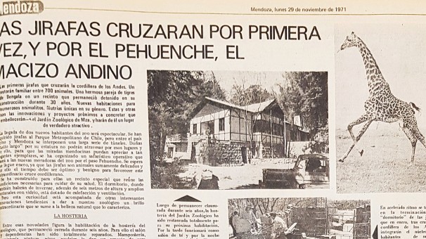 Historias tristes del ex Zoo de Mendoza