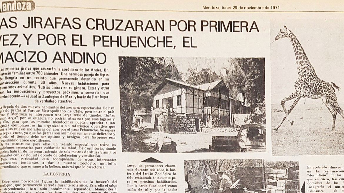 Historias tristes del ex Zoo de Mendoza