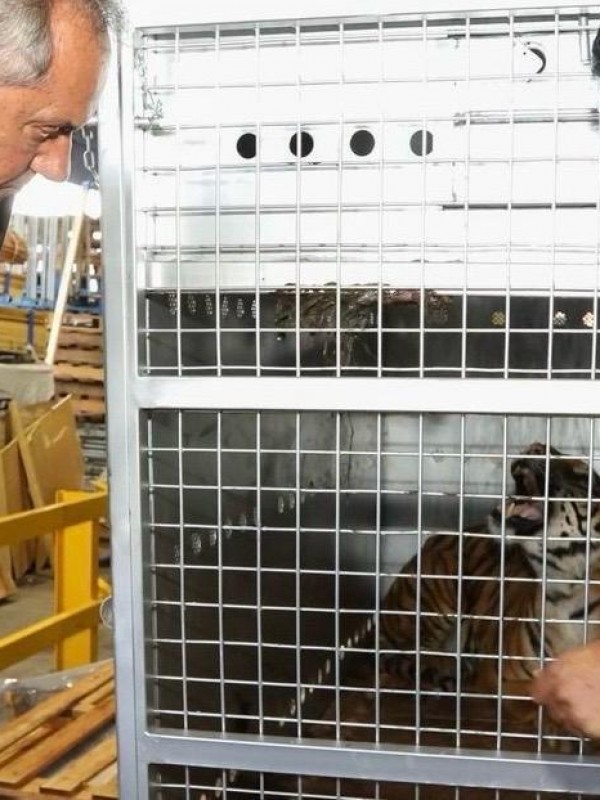 Scioli y Brom acompañaron el operativo de traslado de animales rescatados del ex zoológico de Luján