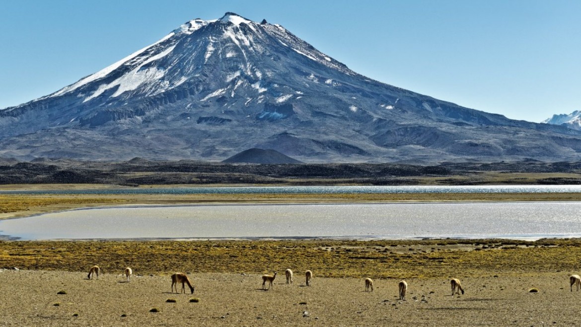 CAME: El turismo creció un 5,6% en Semana Santa, pero el consumo real cayó casi un 19%
