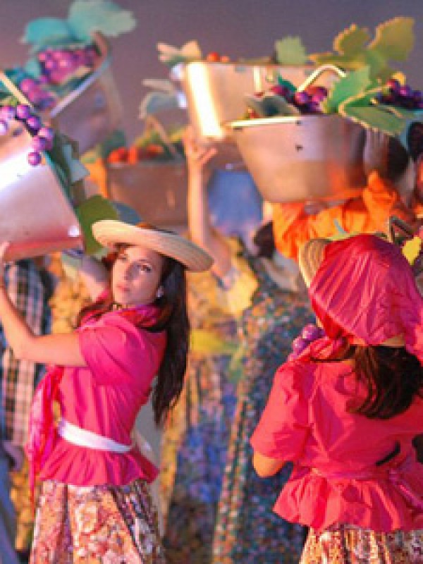 Este miércoles se pone en venta el remanente de entradas para la Vendimia 2026